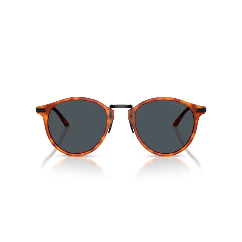 0Ar8250 Tortoiseshell Acetate Sunglasses 1