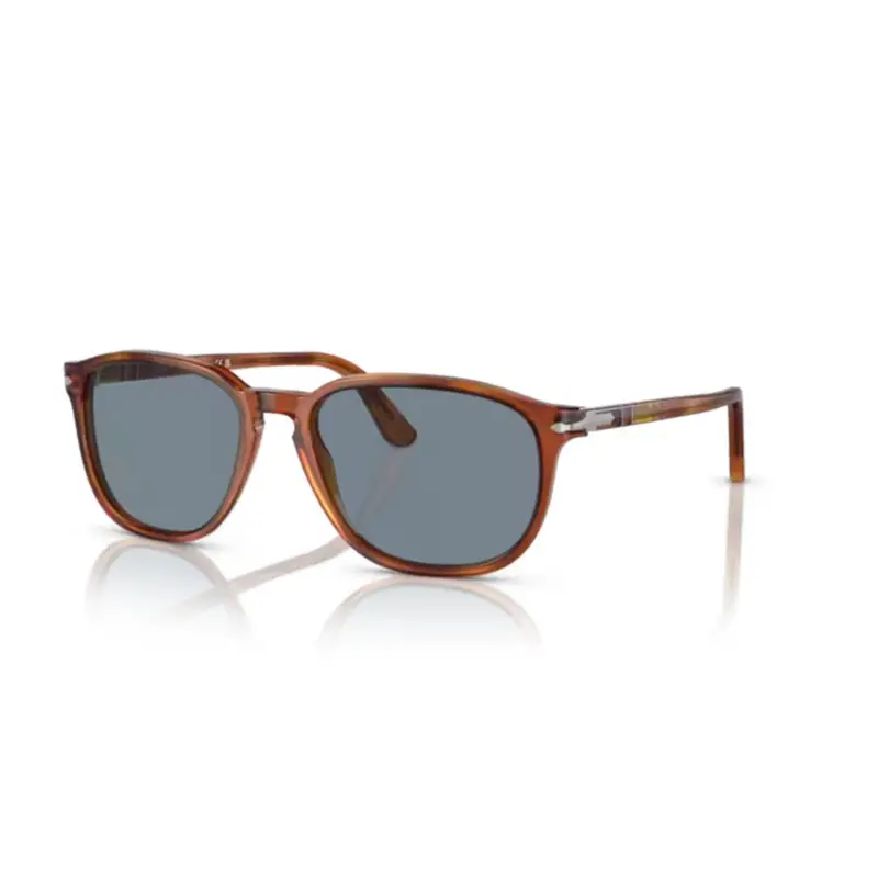 0Po3019s Rounded Rectangular Tortoiseshell Acetate Sunglasses 1
