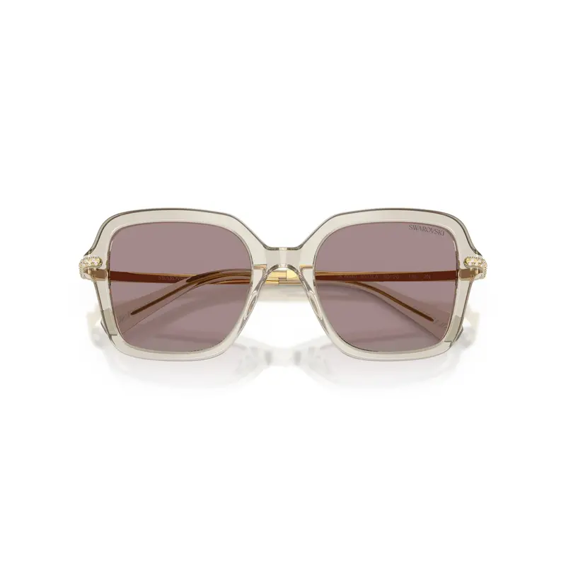 0Sk6040 Square Acetate Sunglasses With Translucent Beige Frame 1