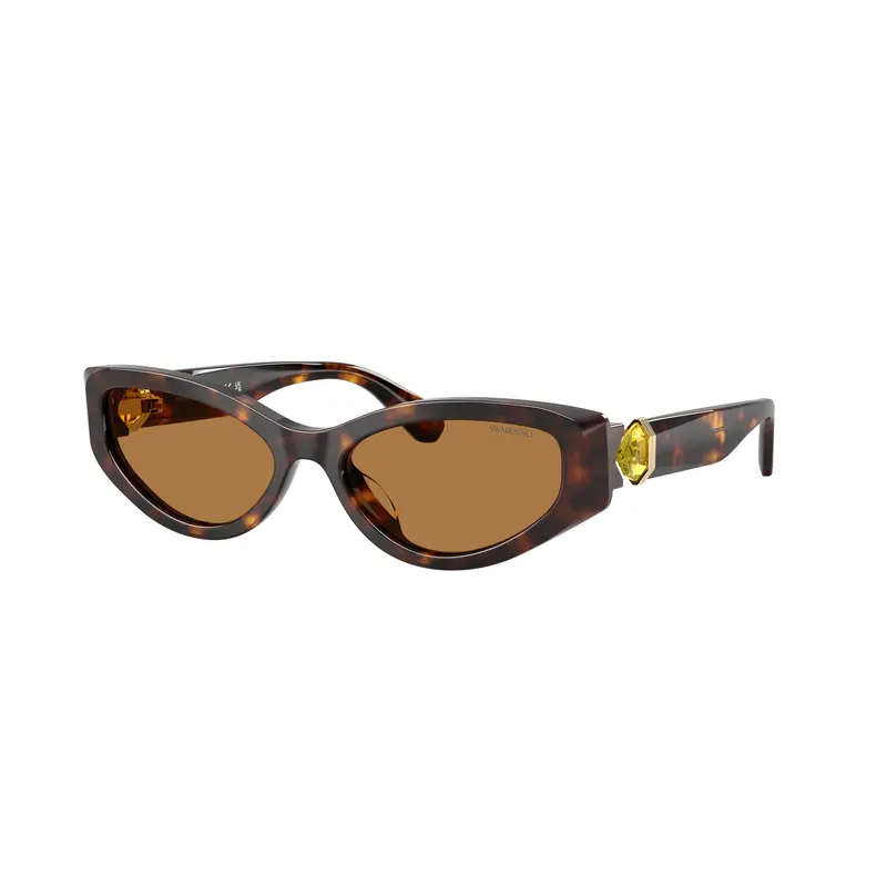 0Sk6045u Cat-Eye Sunglasses With Tortoiseshell Frame 2
