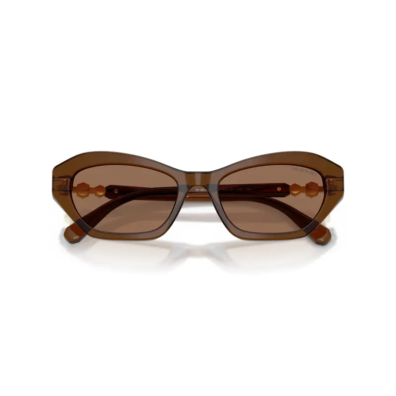 0Sk6048 Geometric Cat-Eye Sunglasses With Gold Accents 1