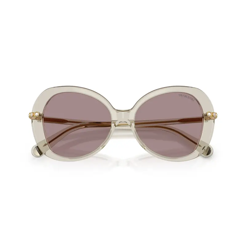 0Sk6059 Large Rounded Acetate Sunglasses With Gold-Toned Temples 1