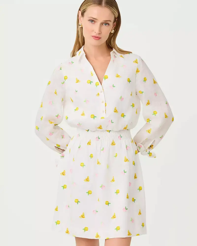 Abralynn Embroidered Linen Shirtdress 1