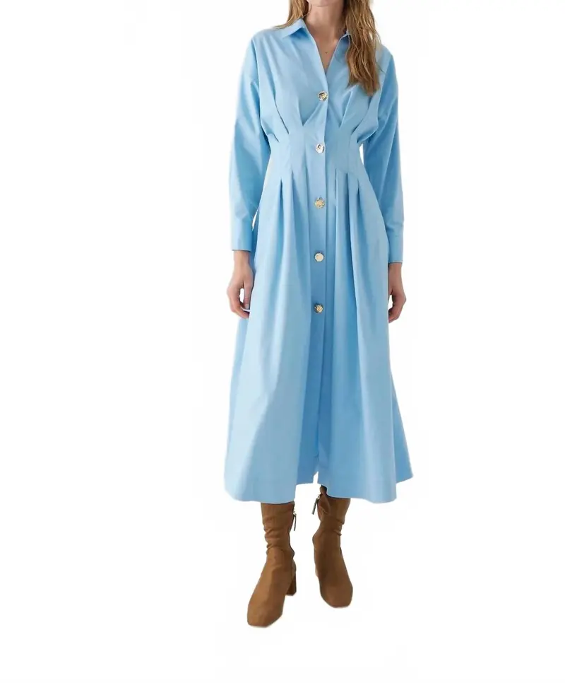 Alba Long Sleeve Dress In Blue 1