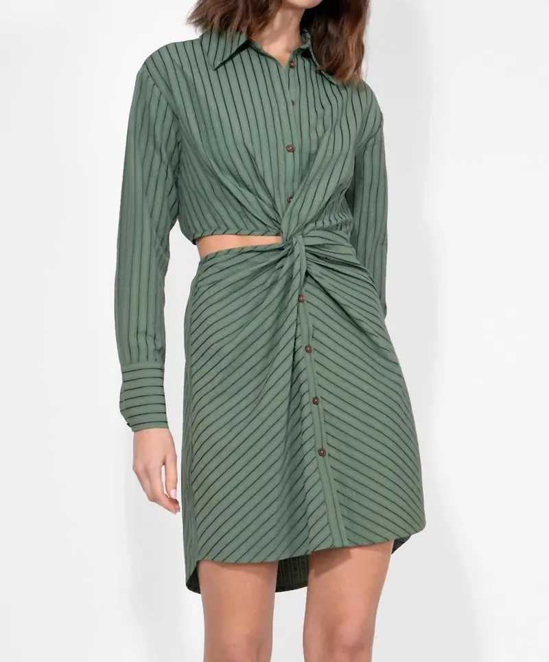 Avena Stripe Shirt Dress In Olive 1