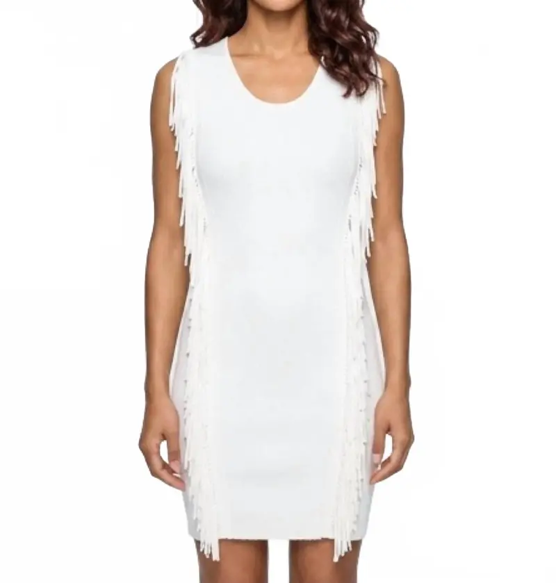 Bailando Fringe Dress In 3331 Chalk 1