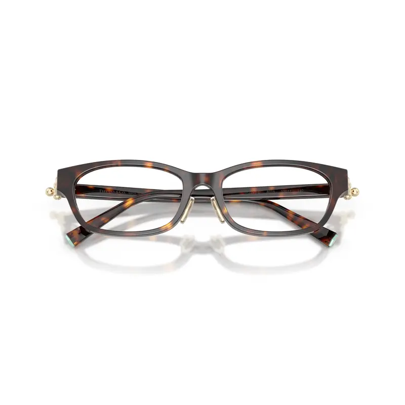 Black Acetate Rectangular Eyeglasses With Gold Accents 1
