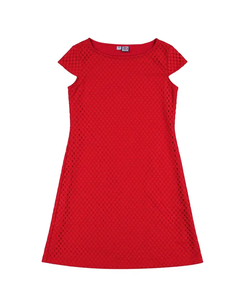 Busy Bees Sabrina Tween Cap Sleeve Dress 1
