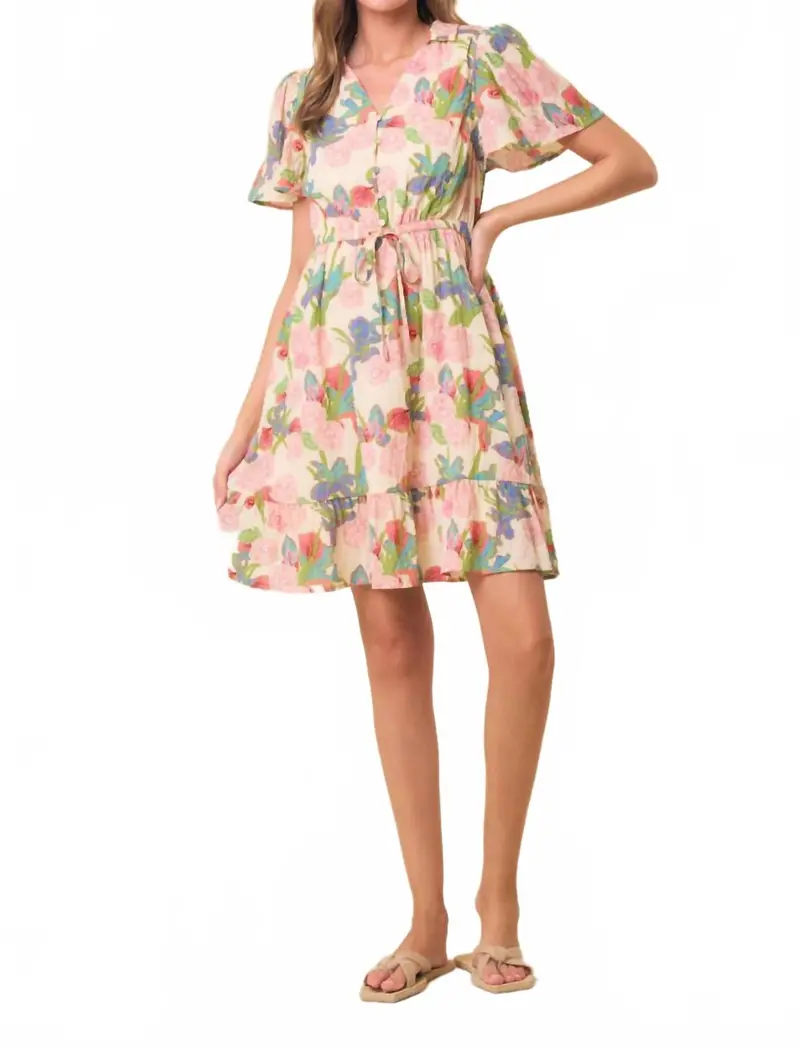 Buttercup Mini Dress In Multicolor 1