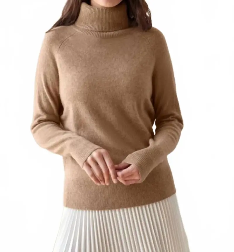 Cashmere Essential Turtleneck Sweater In Beige 1