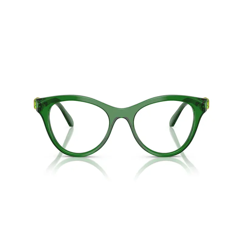 Cat-Eye Sunglasses With Tortoiseshell Acetate Frame And Gold Accents 1