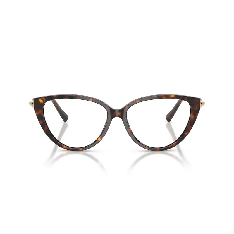 Cat-Eye Sunglasses With Tortoiseshell Frame And Gold Accents 1