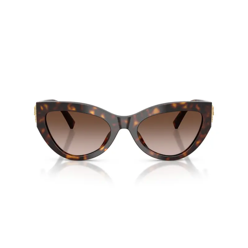 Cat-Eye Sunglasses With Tortoiseshell Frame And Gold Embellishments 1