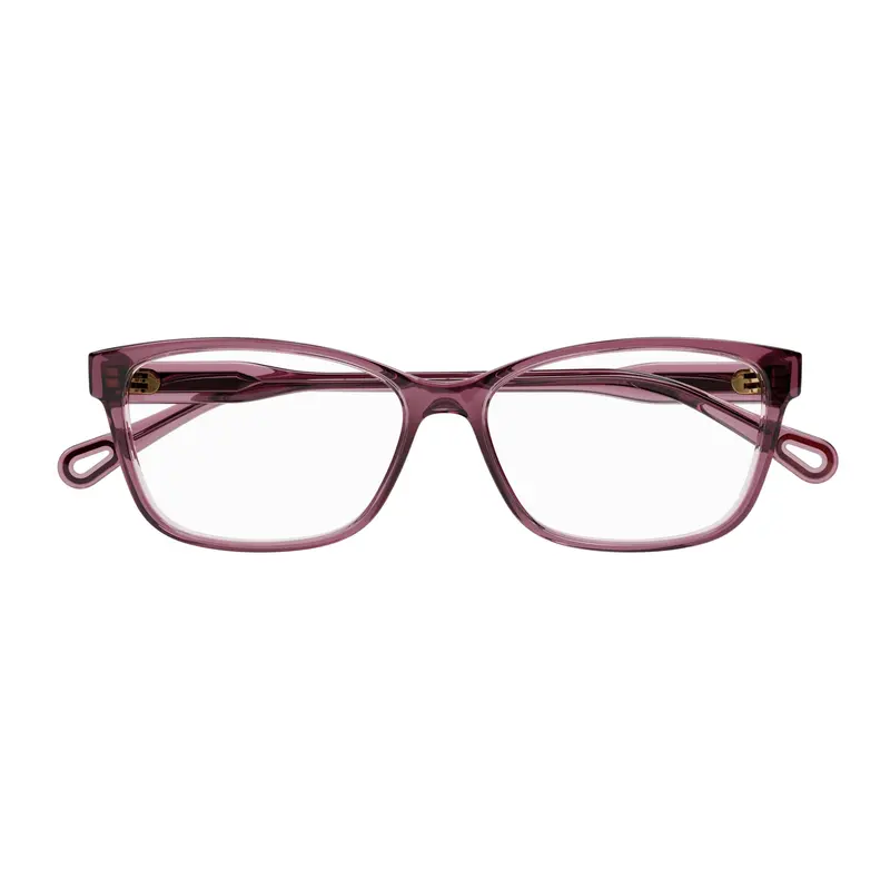 Ch0116o Translucent Deep Plum Cat-Eye Sunglasses 1