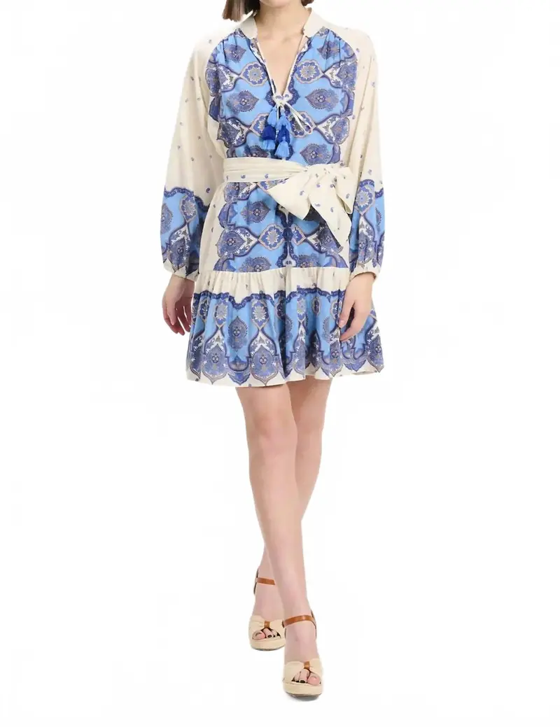 Danae Mini Dress In Blue Paisley Print 1