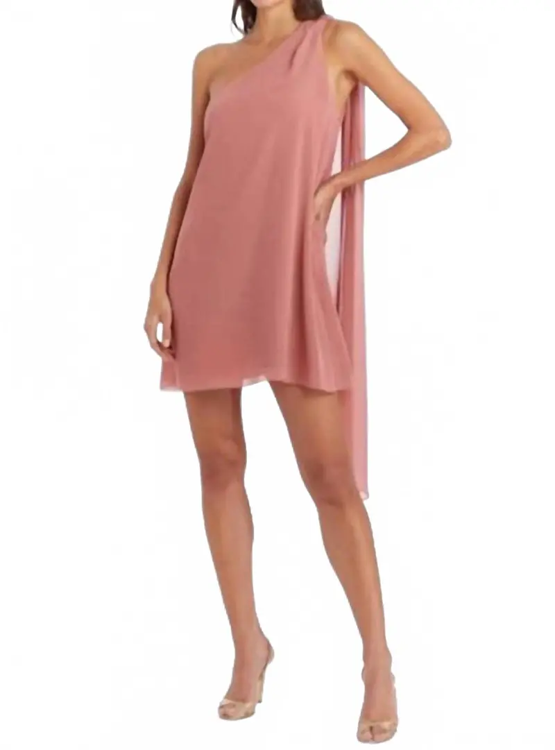 Elisa Dress In Sienna 1
