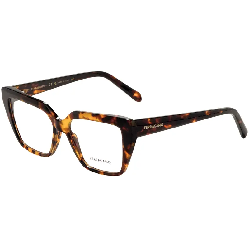 Ferragamo Unisex 53 Mm Brown Opticals 1
