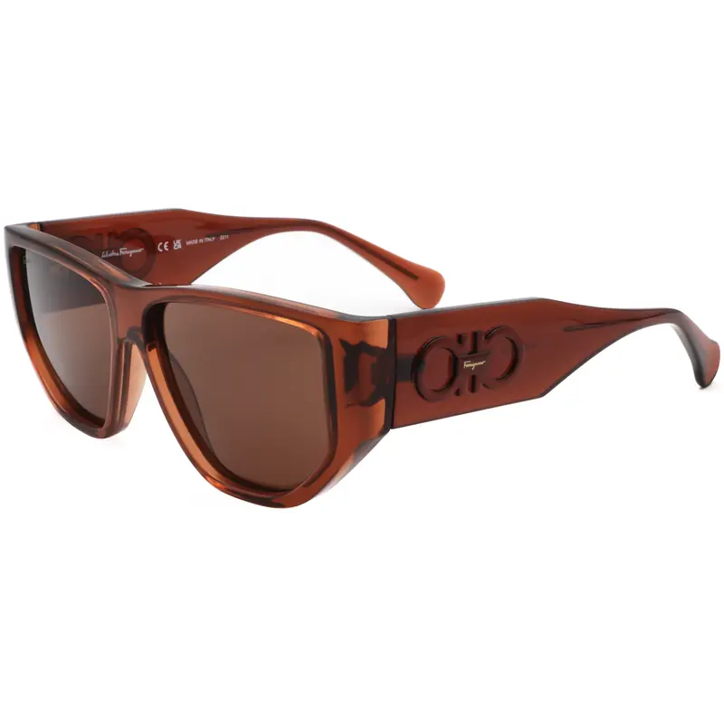 Ferragamo Unisex 56 Mm Brown Sunglasses 1