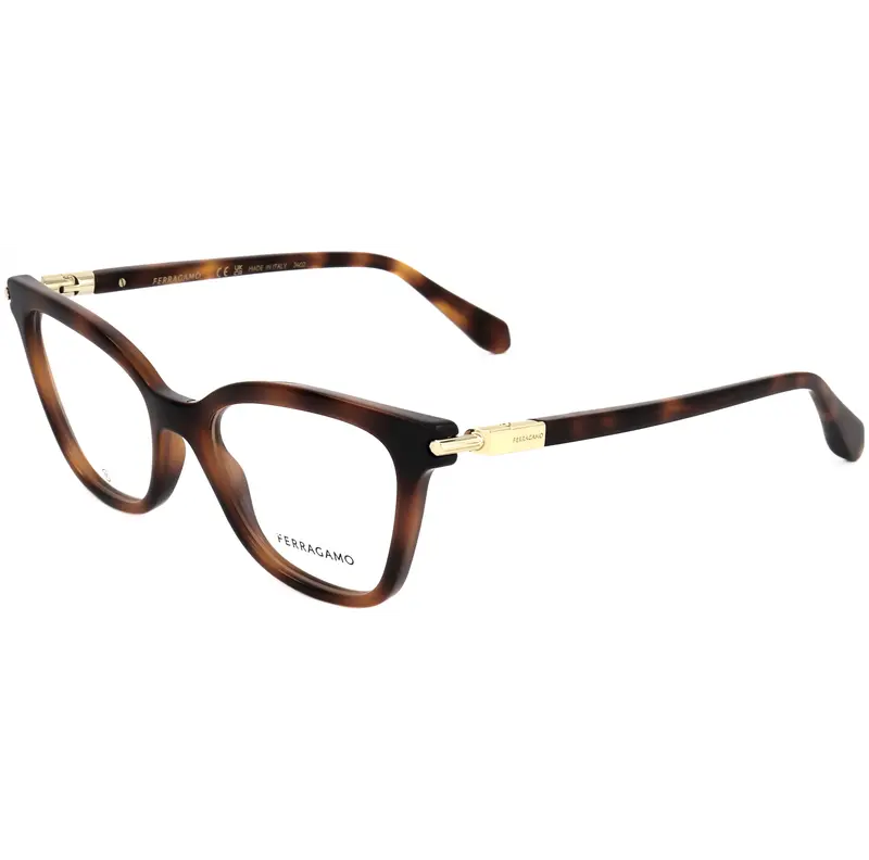 Ferragamo Women's 51 Mm Brown Opticals 1