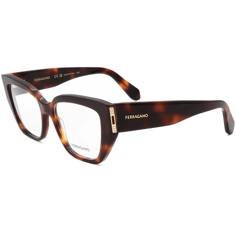 Ferragamo Women's 54 Mm Brown Opticals 1