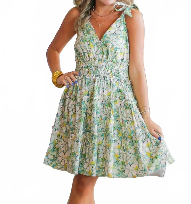 Floral Print Sleeveless Mini Dress In Green Multi 1