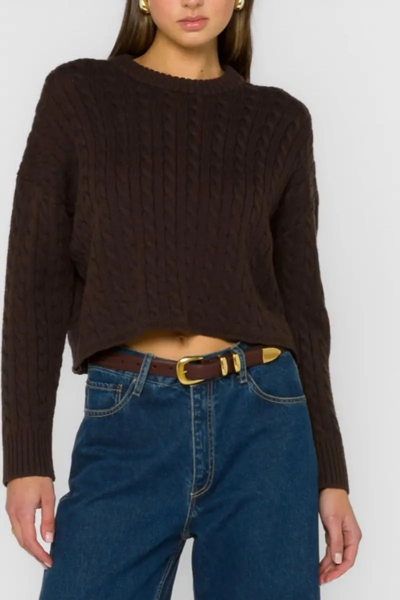 Kalliope Cable Knit Cropped Sweater In Brown 1