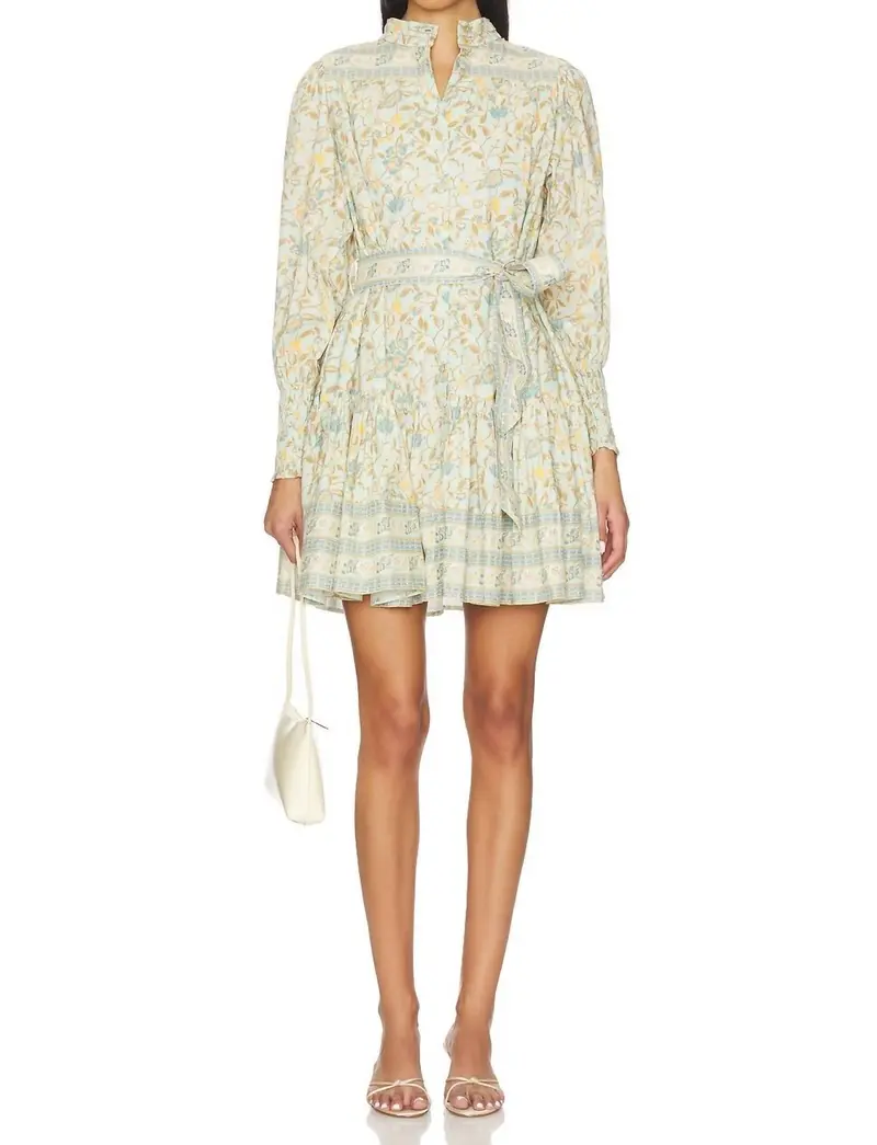 Karlie Mini Dress In Beige 1