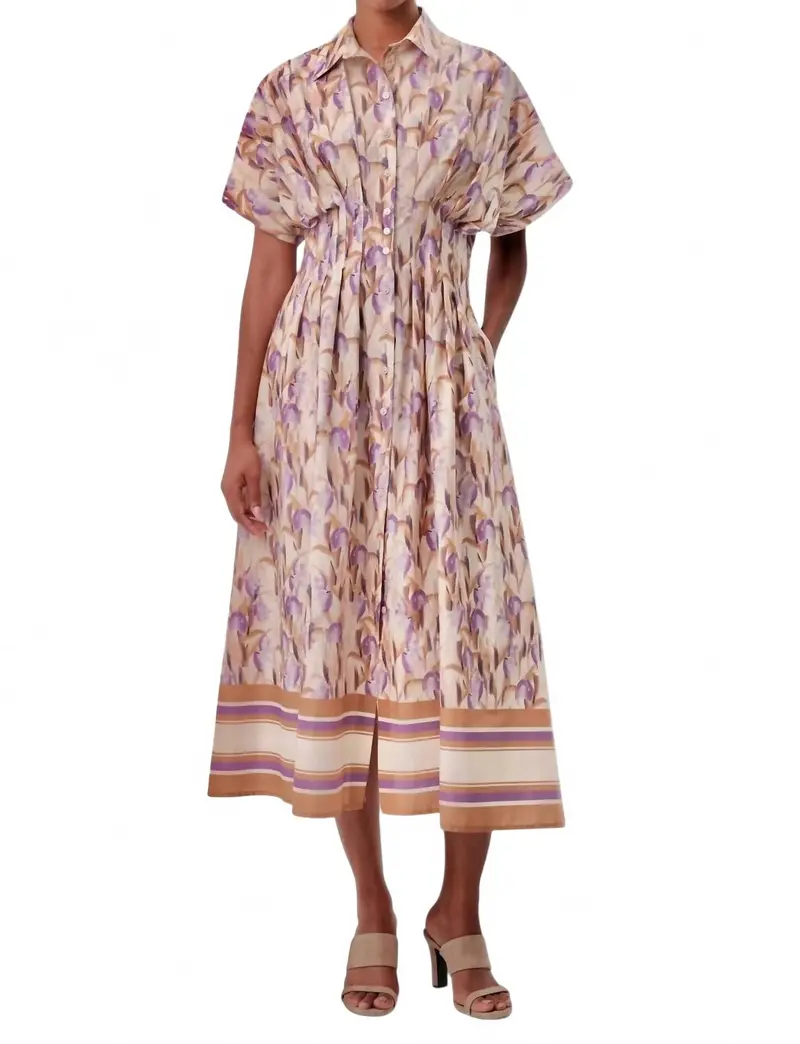 Kenya Printed Maxi Dress In Multicolor 1