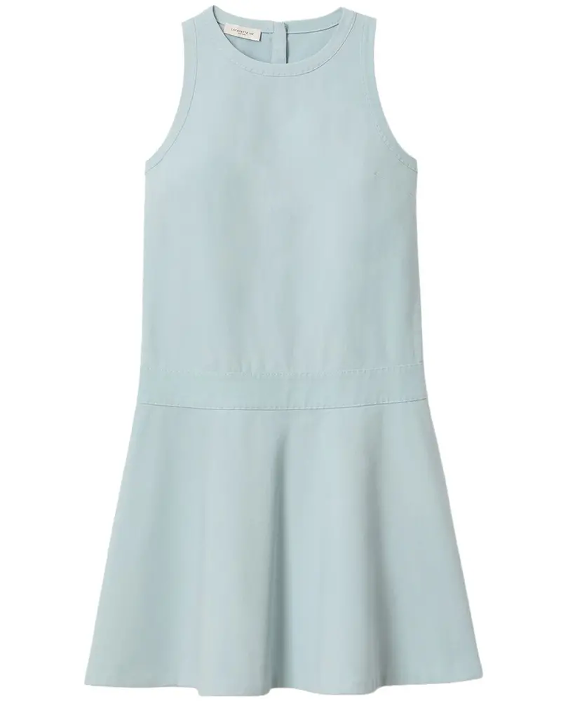 Lafayette 148 New York Petite Sleeveless Drop Waist Dress 1