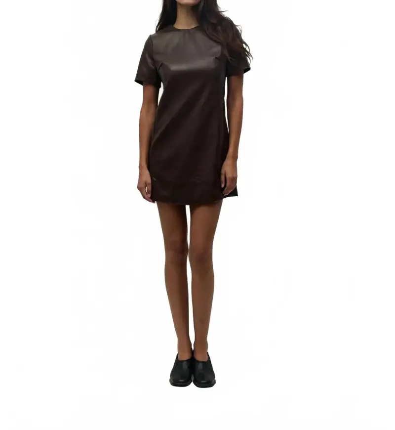 Leather Mini Dress In Brown 1
