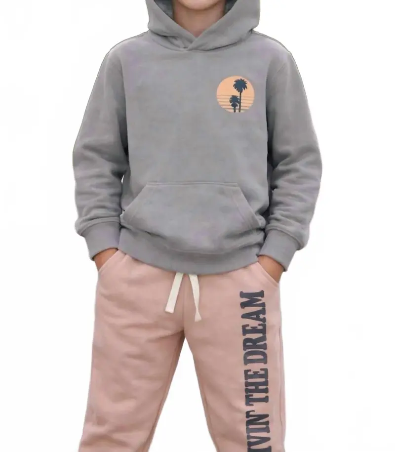 Livin The Dream Hoodie Sweatshirt In Coal 1