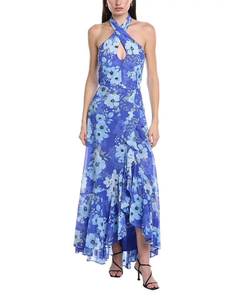 Maison Tara Printed Chiffon Crepe Maxi Dress 1