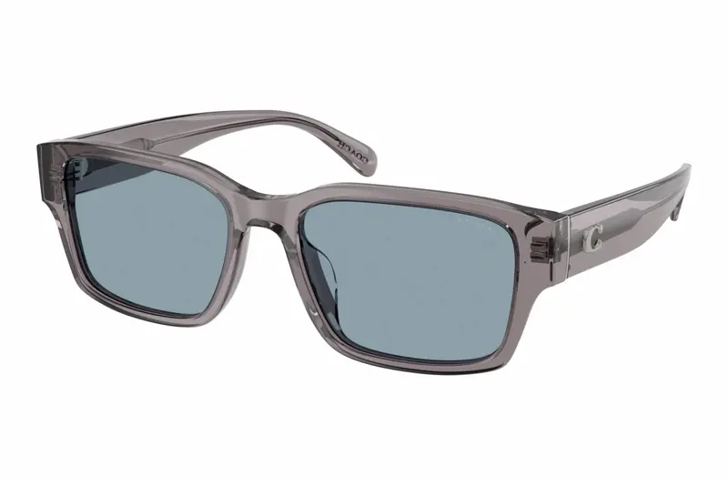 Men's Hc 8441U Sunglasses In Transparent Grey / Light Blue Solid 1