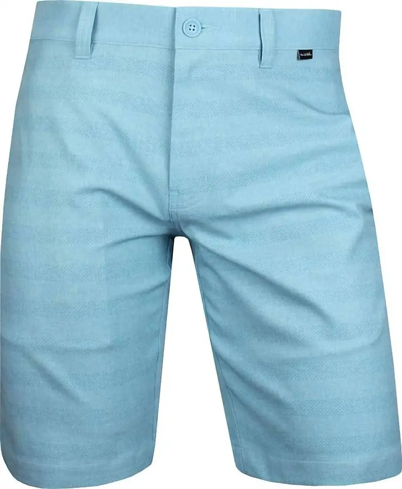 Men's Lake Powell Shorts In Heather Delphinium 1