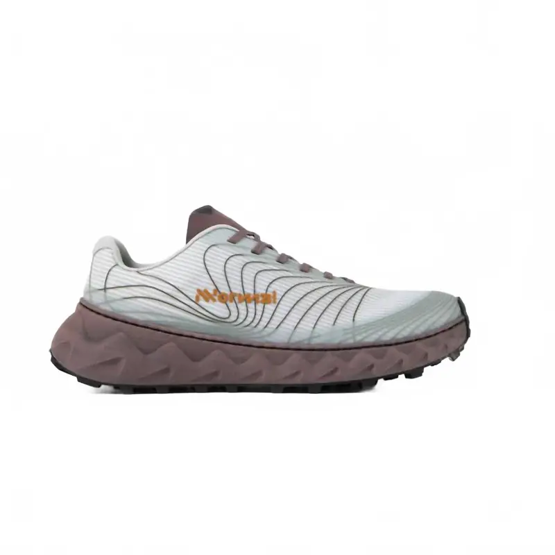 Men's Tomir 1.0 Shoe In Grey/Purple 1