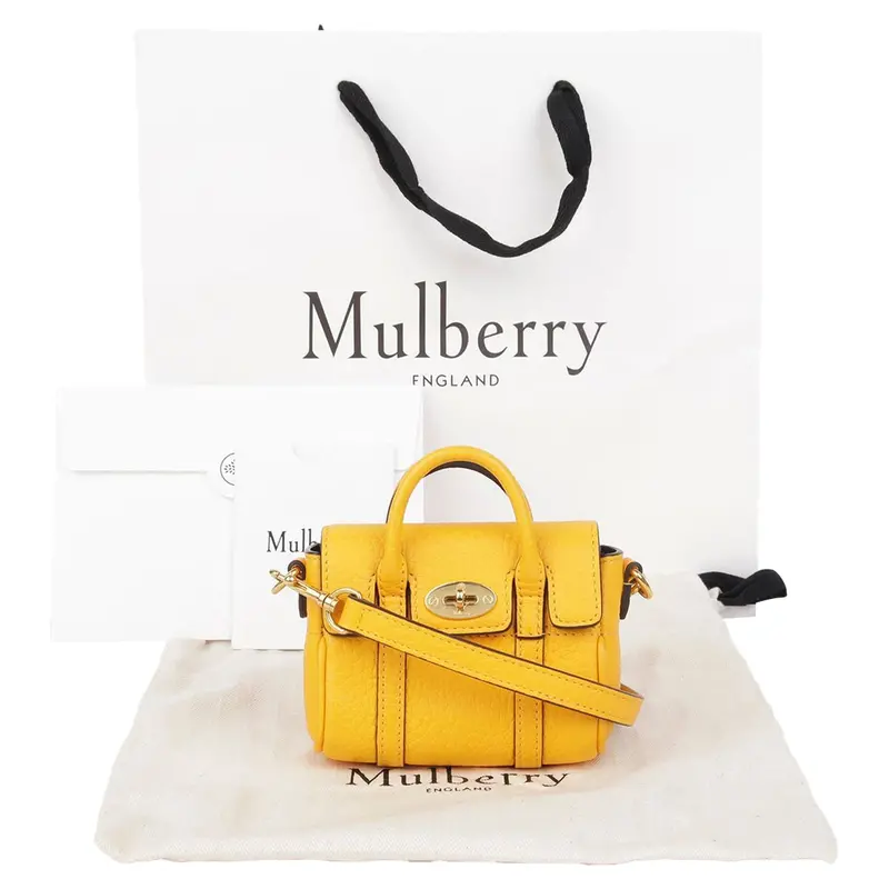 Micro Basewater Shoulder Crossbody Bag 1