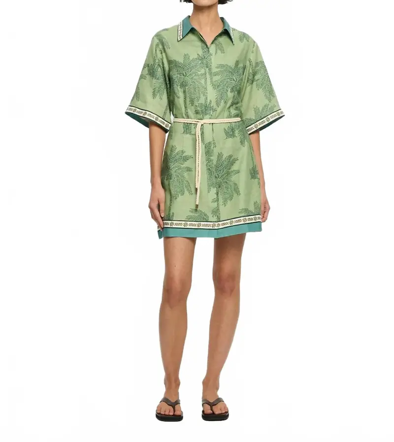 Mini Shirt Dress In Alani 1