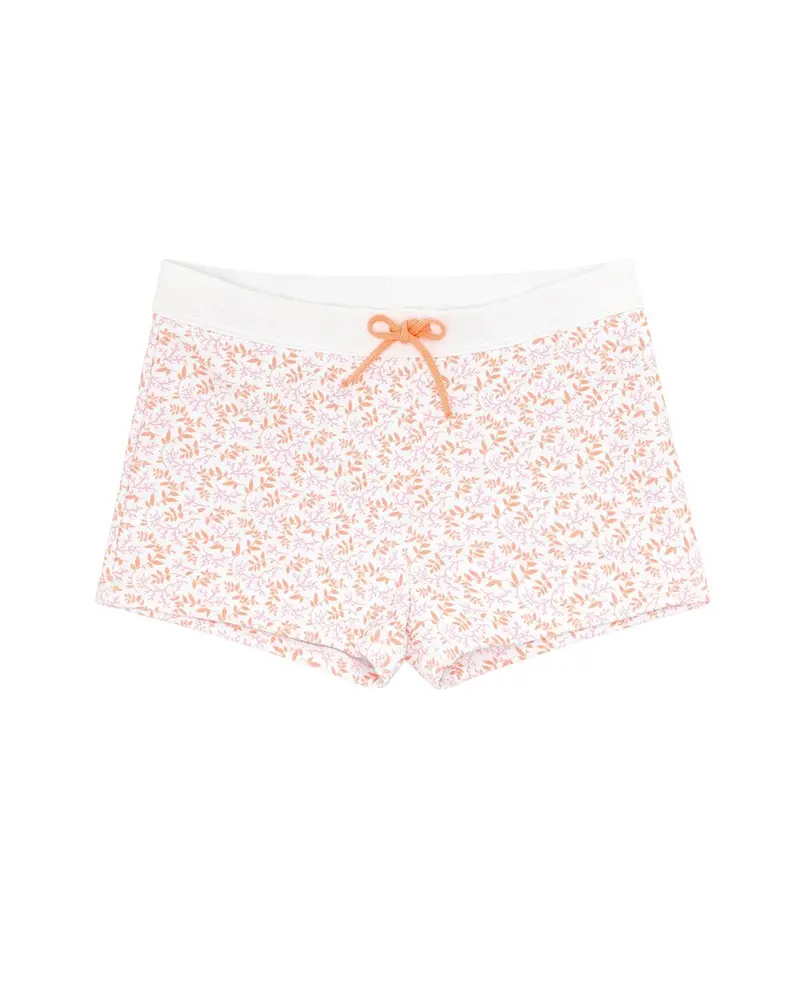 Minnow Swim Brief 1