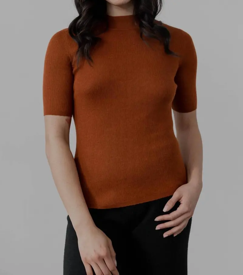 Mock Neck Ribbed Pullover In Rust 1