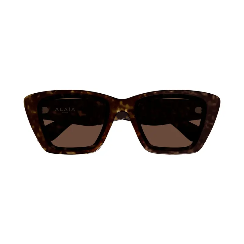 Oversized Square Sunglasses With Tortoiseshell Frame And Logo Accents 1