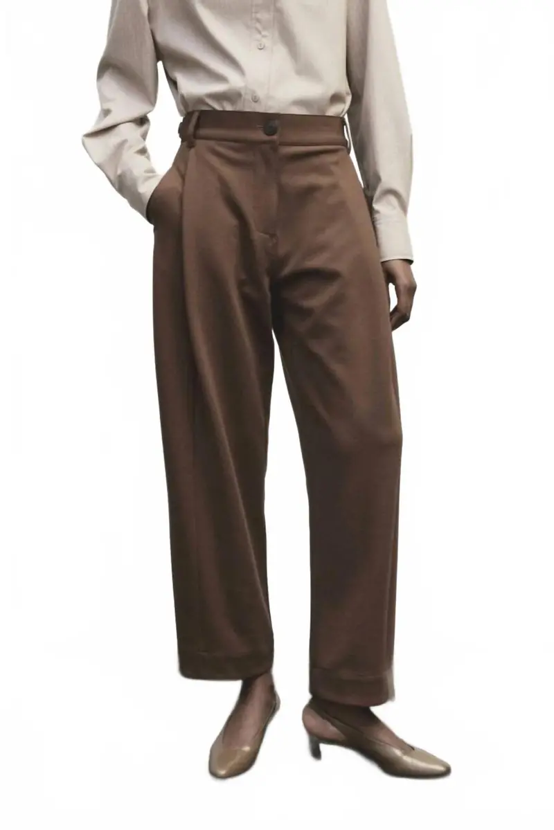 Pleated Barrel Leg Pants In Brown 1