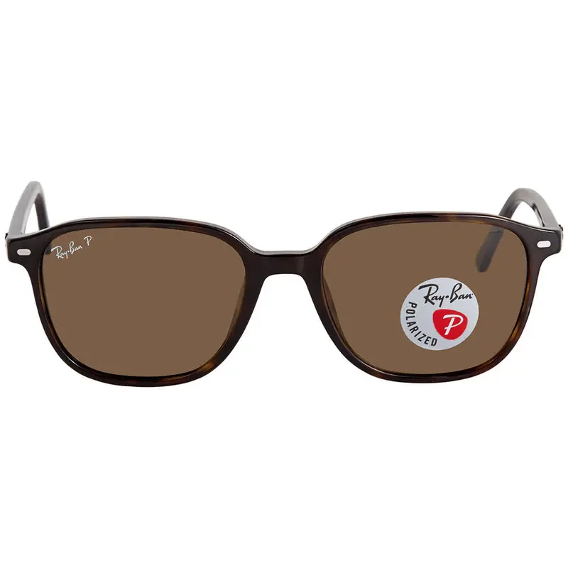 Ray Ban Leonard Polarized Brown Square Unisex Sunglasses Rb2193 902/57 53 1
