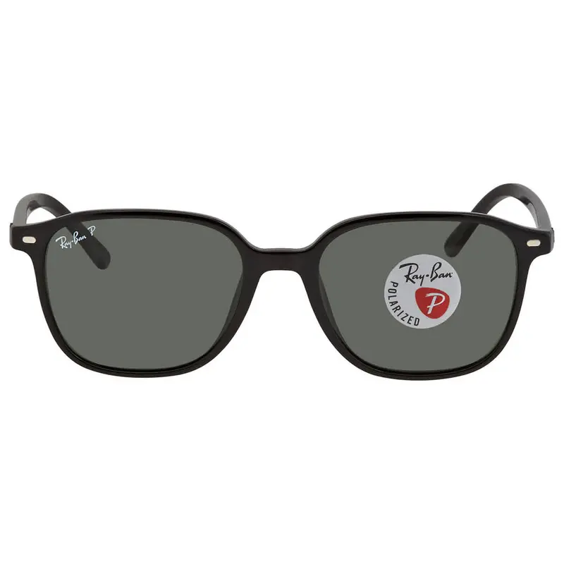 Ray Ban Leonard Polarized Green Sport Unisex Sunglasses Rb2193 901/58 53 1