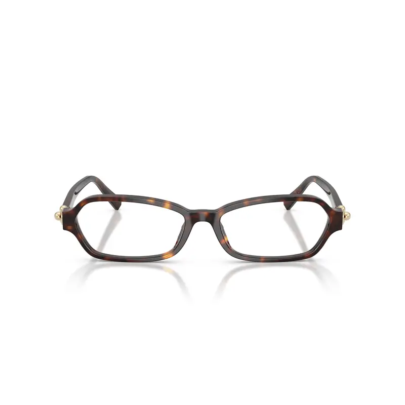 Rectangular Tortoiseshell Acetate Sunglasses With Gold Accents 1