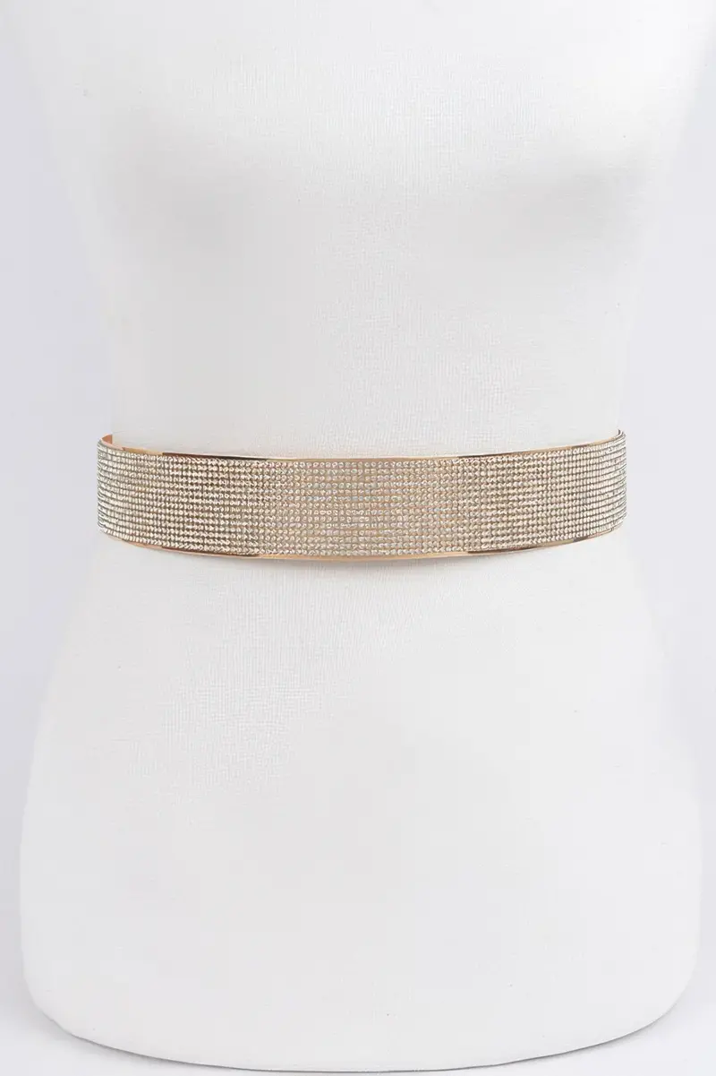 Rhinestone Metal Waist Belt 1