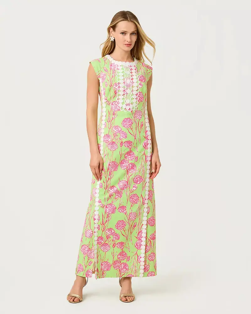 Rosalena Stretch Maxi Shift Dress 1