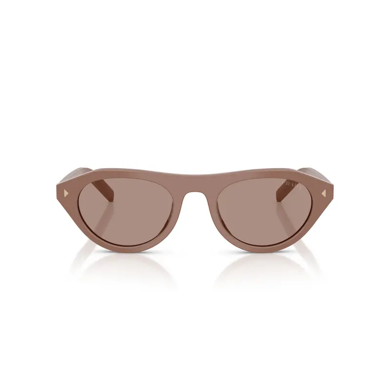 Rounded Cat-Eye Acetate Sunglasses With Gold Accents 1