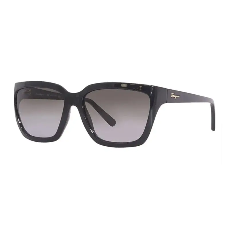 Salvatore Ferragamo Sf1018s Sunglasses 1