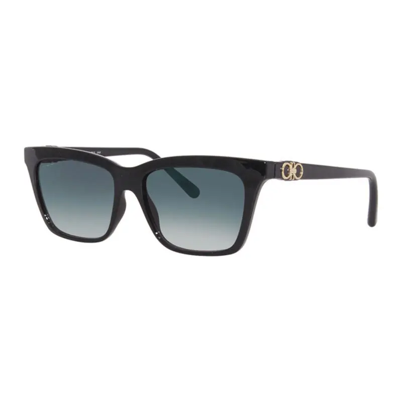 Salvatore Ferragamo Sf1027s Sunglasses 1
