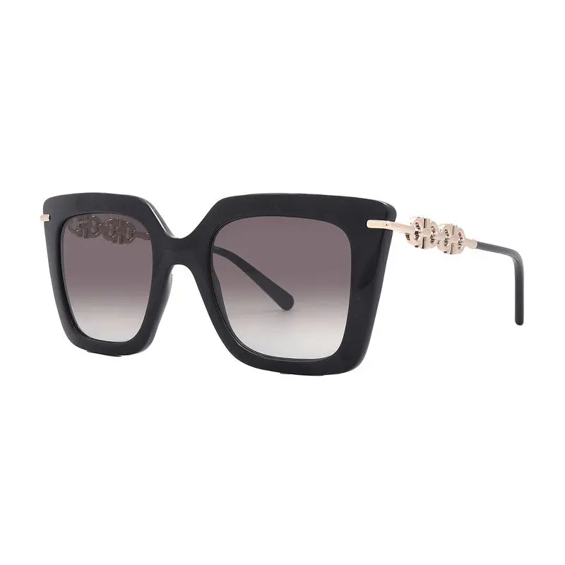 Salvatore Ferragamo Sf1041s Sunglasses 1